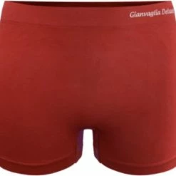 Hete verkoop ⭐ Merkloos Dames Boxershorts Hoog Naadloze 12 Pack XL/XXXL 42-50 👏 -lingerie-dames-badmode Winkel 550x499 5